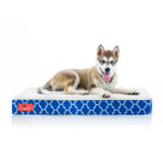 ChiroPet 4" Orthopedic Memory Foam Mattress